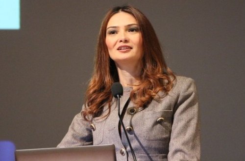Qənirə Paşayeva AŞPA-da Avropanın köçkünlərlə bağlı siyasətini kəskin tənqid edib