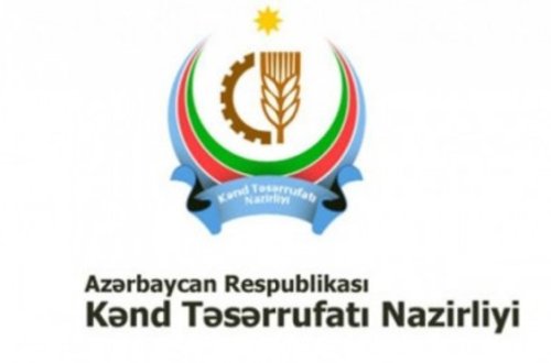 Bu il məhsul qıtlığı və bahalaşma olmayacaq