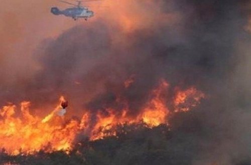 Şamaxıda güclü yanğın