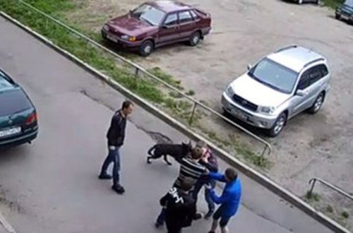 Bacı-qardaş ər-arvadla dalaşdı