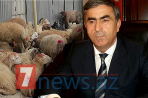 Sevindik Hətəmovla bağlı biabırçı xəbər