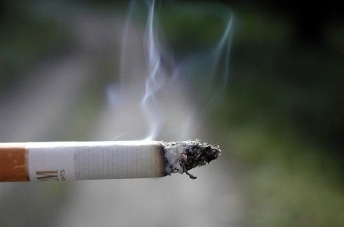 Deputatdan təklif: Universitetdə siqaretə qadağa qoyulsun