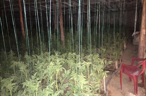 Maştağada xüsusi əməliyyat: