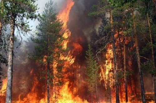 Ceyranbatan su anbarının ətrafında yanğın başlayıb