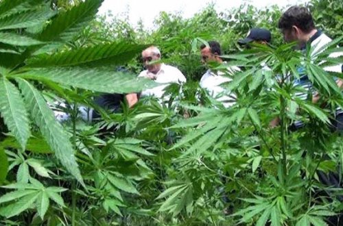 Polis əməliyyat keçirdi