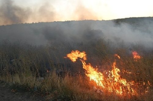 Milli Parkdakı yanğının səbəbi bəlli oldu