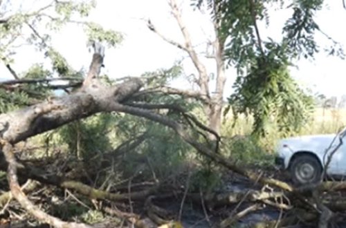 Şəkiyə də dolu düşdü