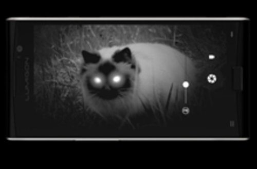 Gecə görmə kamerası olan smartfon buraxıldı