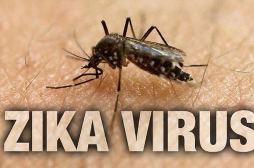 Zika virusunu operativ aşkarlayan test hazırlanıb