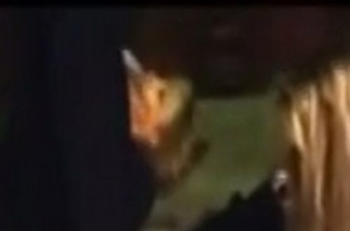 Küçədə özünü itirən sərxoş qadına bunu etdilər