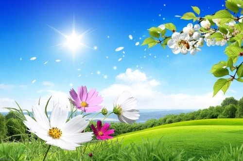 Bu gün 27 dərəcə isti olacaq