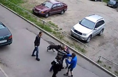 Rusiyada qız üstündə dava