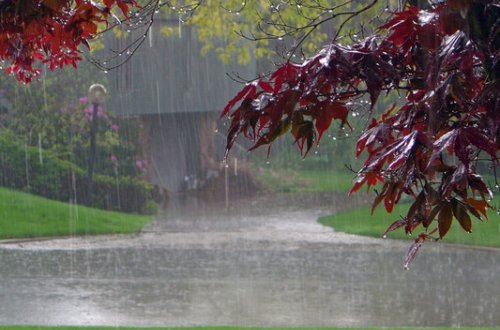 Bu gün leysan olacaq