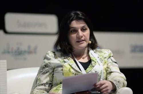 Valişvili: İqtisadiyyatımızın inkişafı TANAP və TAP-dan asılıdır