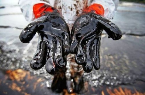 Azərbaycan nefti 50 dollara yaxınlaşır