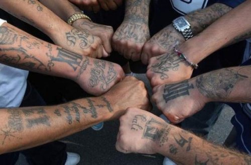 Kriminal avtoritetlər Bakıya toplaşır