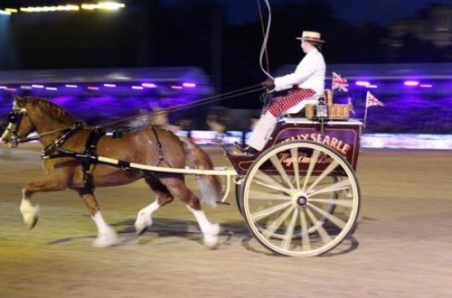 Qarabağ atları II Elizabetin yubileyində şou göstərdi