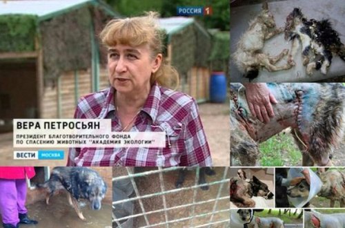 Moskvada erməni vəhşiliyi