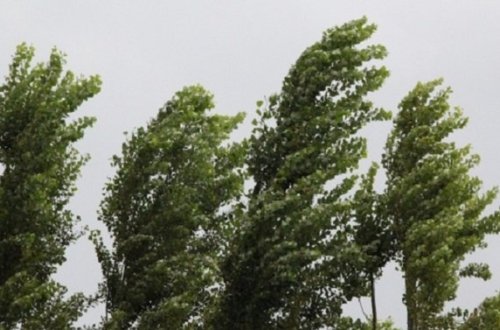 Bu gün hava küləkli olacaq