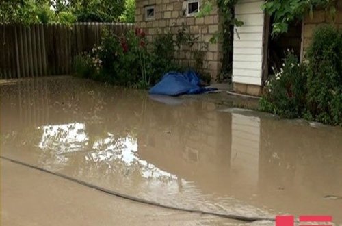 İsmayıllıda sel suları təsərrüfata ciddi ziyan vurub