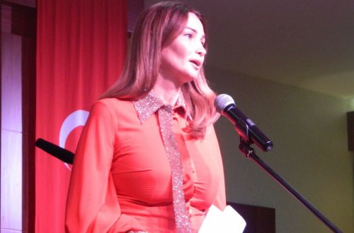 Qənirə Paşayeva Antalyada Türk dünyası aydınlarına Qarabağ çağırışı edib - FOTOLAR