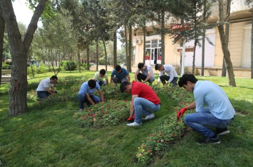 Binəqədi rayonunda ümumrayon iməcliyi keçirildi