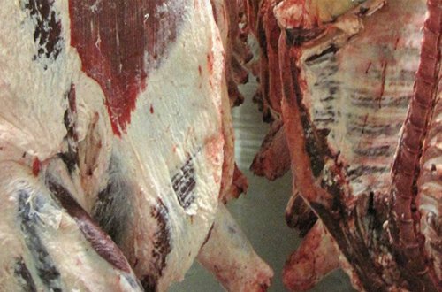 İsmayıllı sakini 300 kq at əti ilə tutuldu