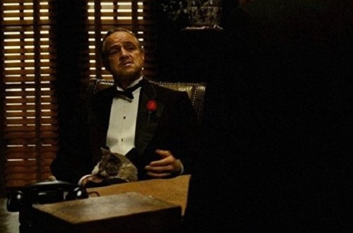 `Xaç atası`nın evi satılır - FOTOLAR