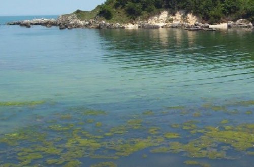 Nazirlikdən Sarısu haqda - Açıqlama