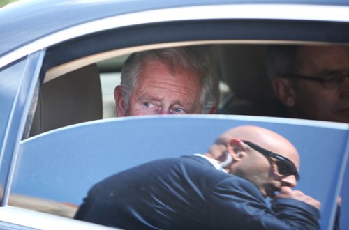 67 yaşlı şahzadə maşını ilə maralı vurdu