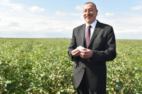 İlham Əliyevdən pambıqçılığa dəstək