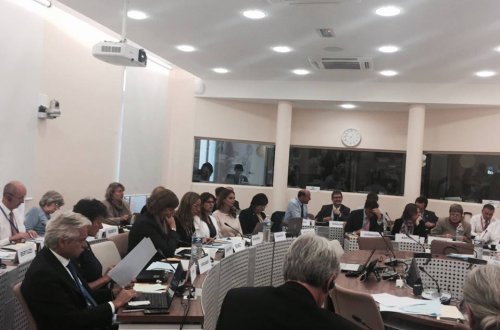 Millət vəkilləri AŞPA-nın Sosial İşlər, Səhiyyə və Davamlı İnkişaf Komitəsində təkliflərlə çıxış ediblər