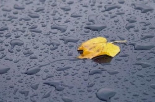 Sinoptiklər sabaha yağış proqnozlaşdırırlar