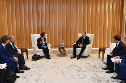 Prezident Cihan Sultanoğlunu qəbul etdi