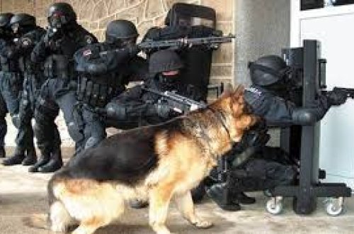 Dağıstanda iki silahlı öldürülüb