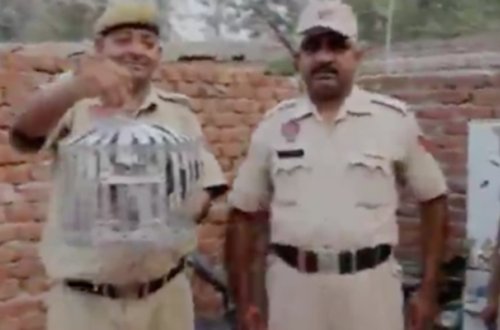 Sərhədçilər poçt göyərçini “saxladılar” - Baş nazirə məktub