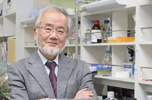 İlk Nobel mükafatçısı bəlli oldu