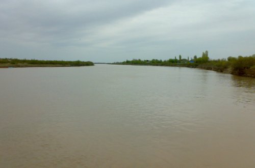 Ermənistan Kürü zəhərləyir