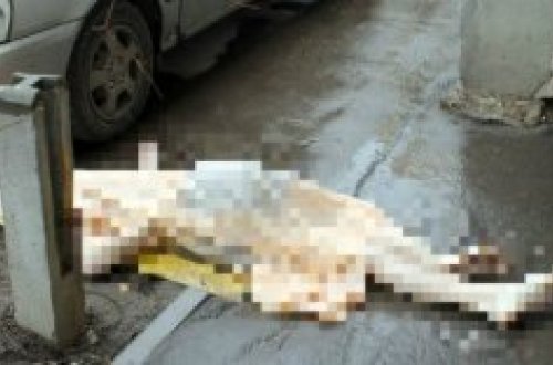 Atası Azərbaycanda ölən qadın intihar etdi: 