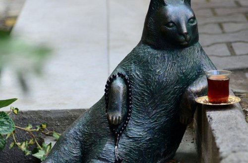 Türkiyədə pişiyə heykəl qoyuldu - FOTO