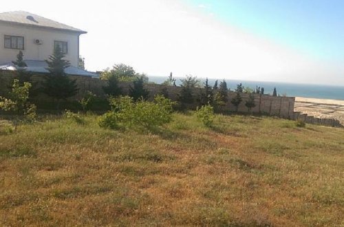 Zəbt edilən torpaqlar dövlətə qaytarılır - 18 min hektar