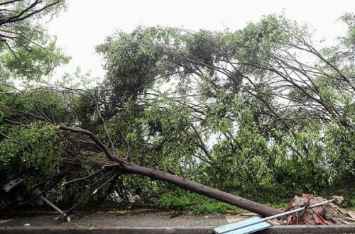 Qasırğa nəticəsində 877 nəfər ölüb