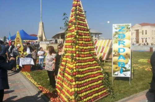 Qubada “Alma bayramı” keçirildi – FOTOREPORTAJ