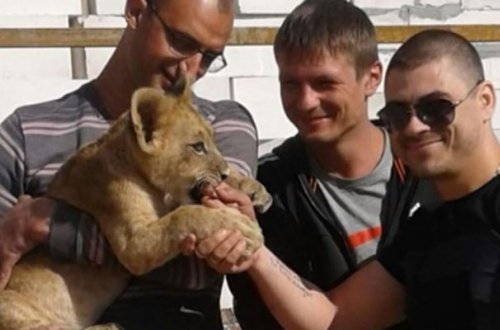 Evində şir saxlayan azərbaycanlı ailədən polisə şikayət - Fotolar