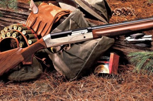 Qanunsuz ov - İki nəfər saxlanıldı