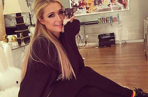 Milyarder qızının 8 min dollarlıq iti - FOTOLAR