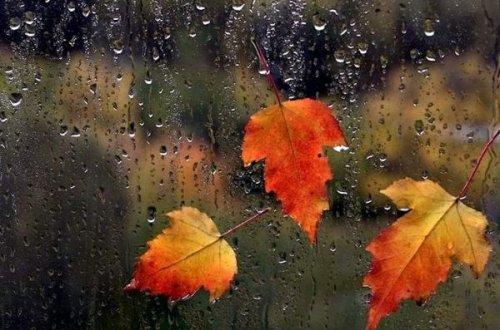 Yağış, külək... - Sabaha olan hava proqnozu