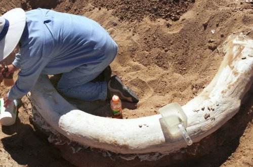 Füzulidə tarixi tapıntı