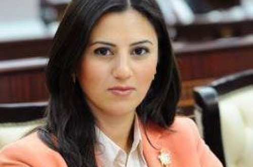 Azərbaycanlı millət vəkili - AŞPA-nın komitə sədri seçildi