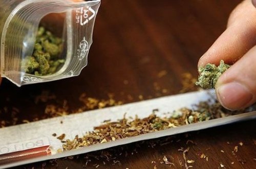 Azərbaycanda 1800 nəfər narkotikə görə cinayət məsuliyyətinə cəlb edilib